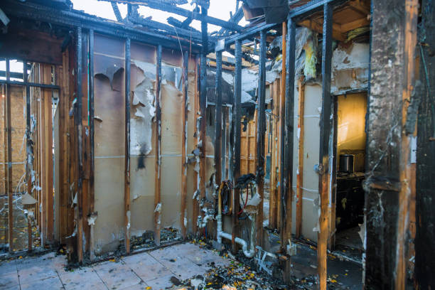 Professional Soot Cleanup technician working in Covedale, OH